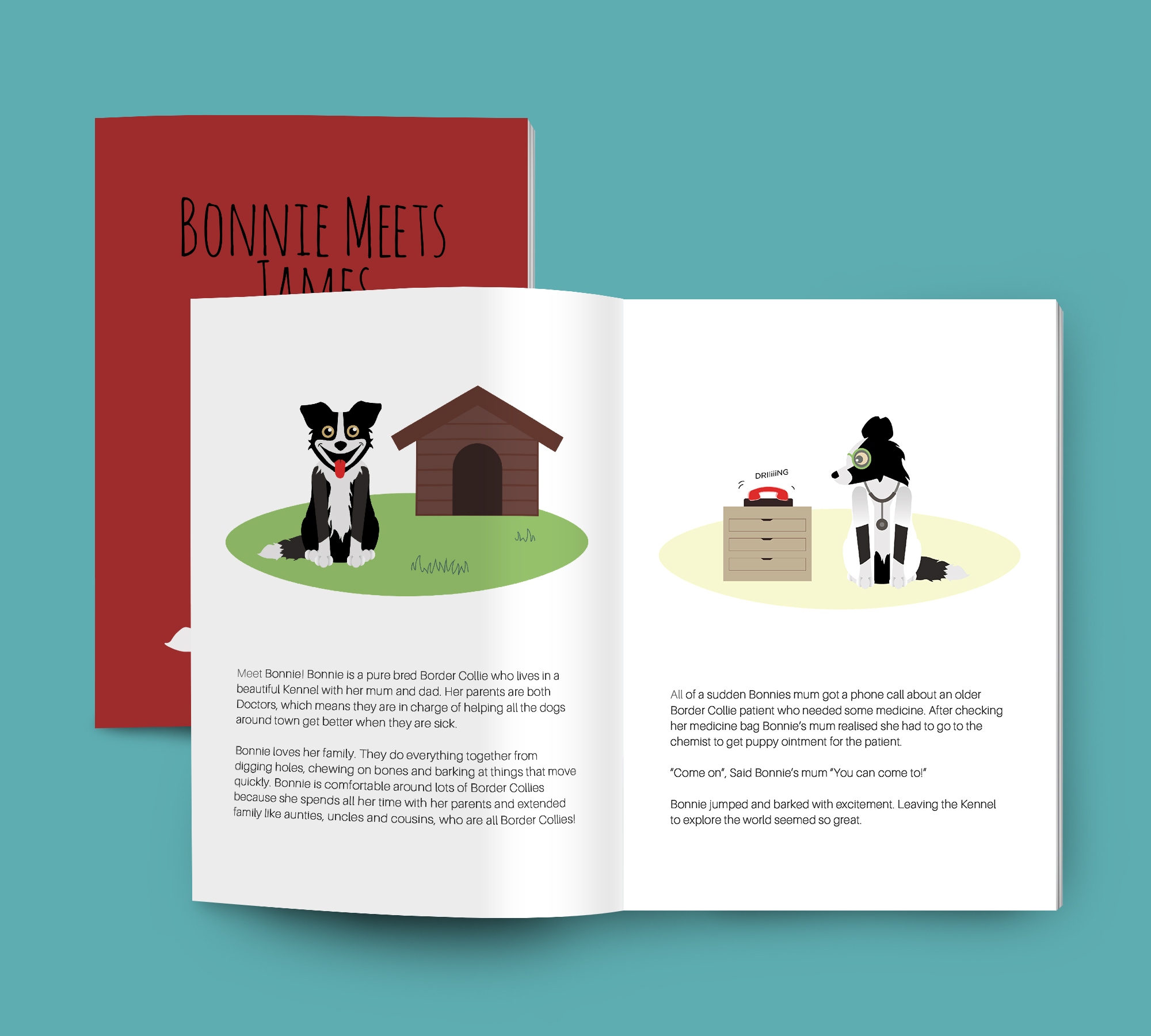 illustrations d'une double page intérieure du livre Bonnie meats James