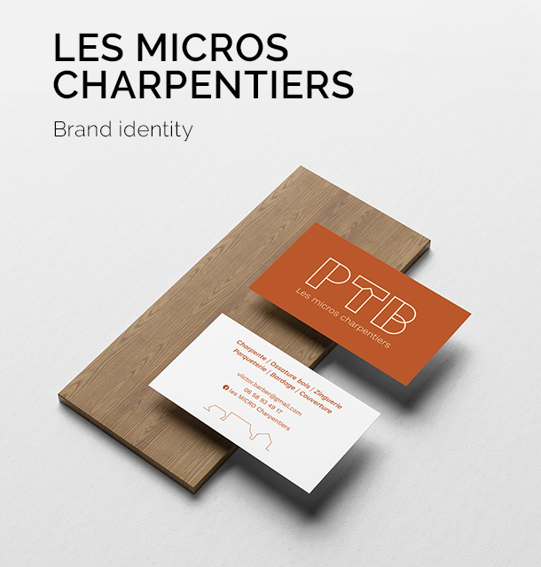 logo pour PTB micro charpentiers