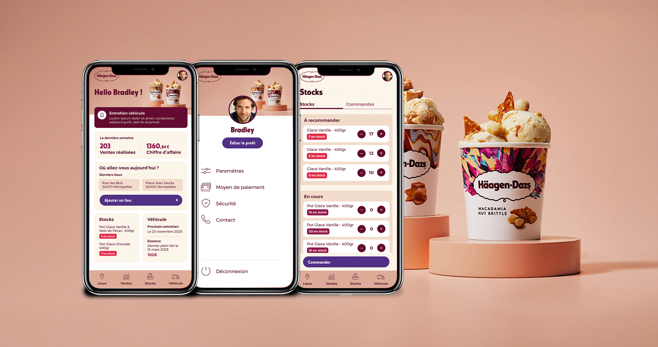 application mobile haagendazs case study