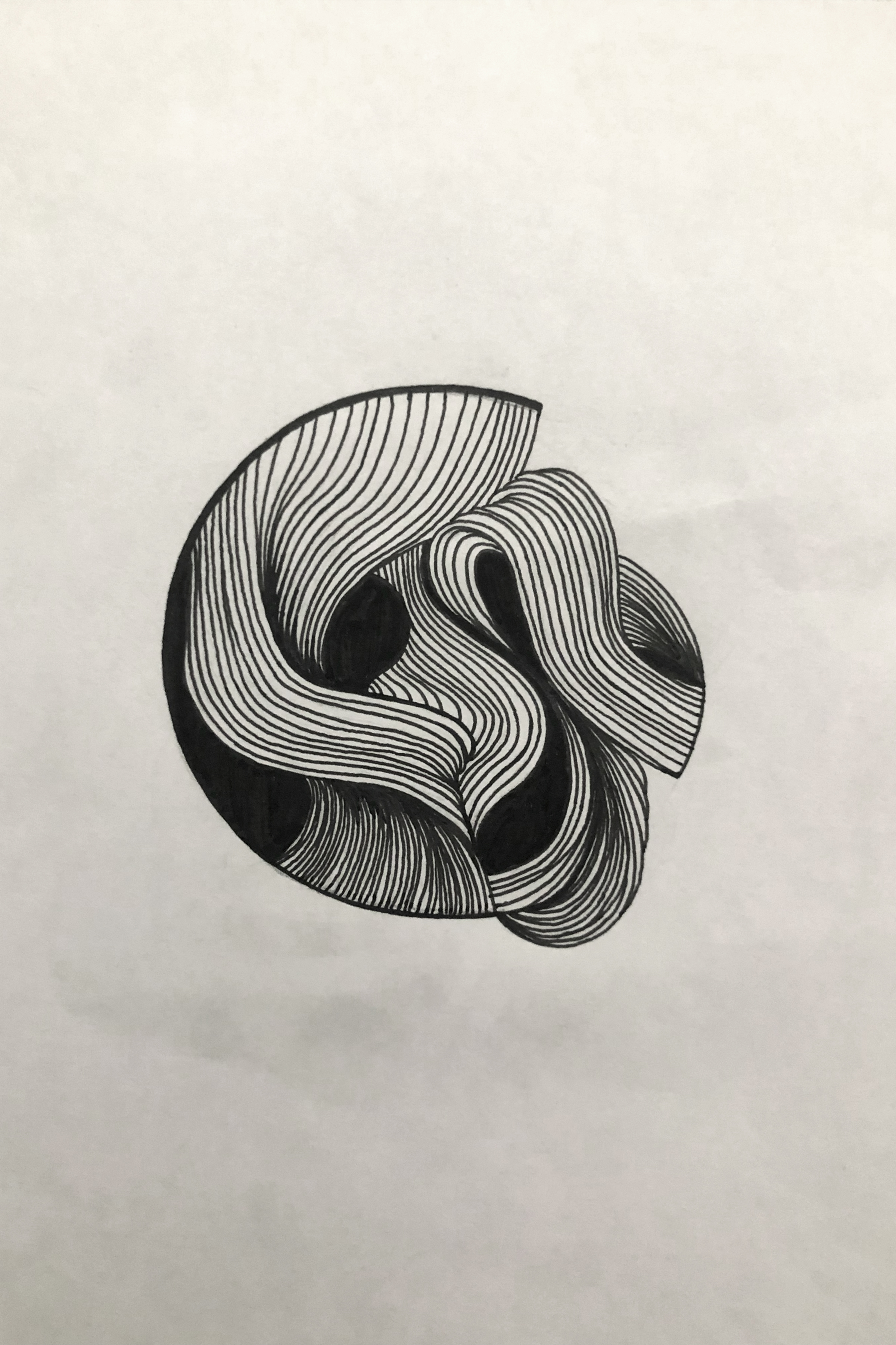 dessin d'un cercle rempli de lignes noires courbes faites à la main donnant un effet de mouvement